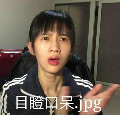 韩国明星网红区别对比,颜值与影响力的差异化解析