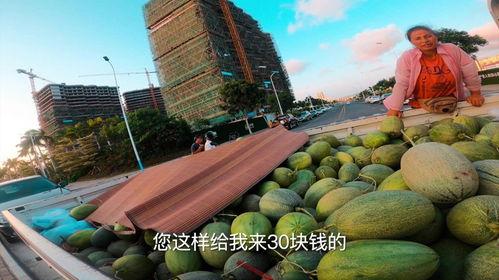 三亚哈密瓜今日价格多少,价格行情一览”