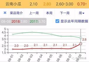 今日小瓜价位走势图表,今日走势图表深度解析