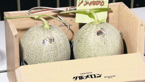 今日东方蜜瓜价格行情表,甜蜜丰收，市场走俏