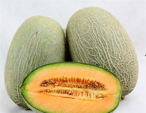 今日份哈密瓜特价进行中,尽享夏日清凉美味”