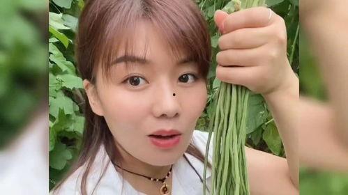 哪些明星网红来过菏泽了,菏泽明星网红打卡足迹回顾