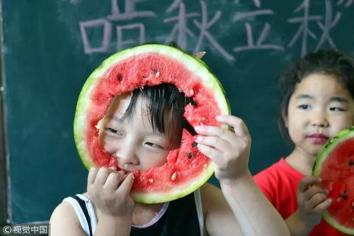 今日立秋你吃瓜了吗,清凉一夏的完美收尾