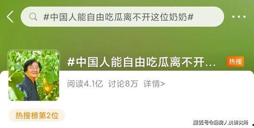 别名今日宜吃瓜小说,今日宜吃瓜小说的奇幻冒险之旅