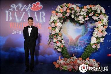 慈善明星网红有哪些名单,爱心闪耀的互联网公益使者