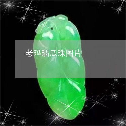 2023年今日瓜价