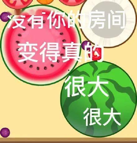 今日网络大瓜,今日大瓜盘点，揭秘娱乐圈最新动态