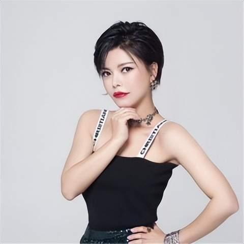 歌手明星网红歌曲有哪些,明星网红歌曲盘点