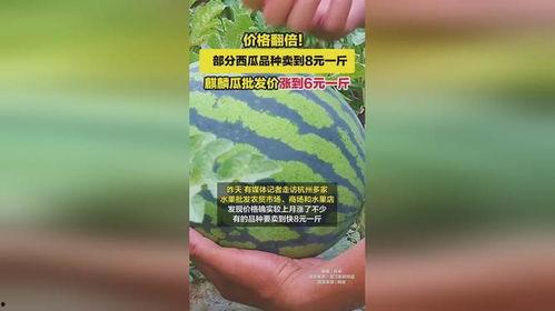 广州麒麟瓜批发今日行情,价格波动与供需分析