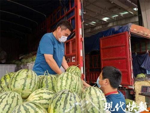 广州麒麟瓜批发今日行情,价格波动与供需分析