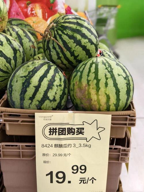 广州麒麟瓜批发今日行情,价格波动与供需分析