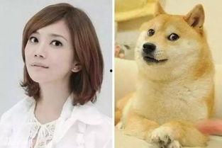 明星网红同款新奇物,明星同款潮流神器大揭秘