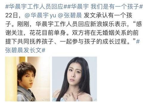 讽刺娱乐明星网红的文案,一场讽刺的娱乐盛宴
