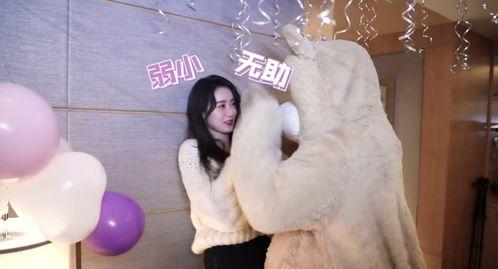 明星网红熊跳舞图片大全,网红明星舞蹈瞬间集锦