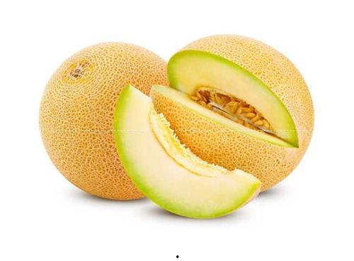 哈密瓜今日价格商情网,今日商情网行情一览