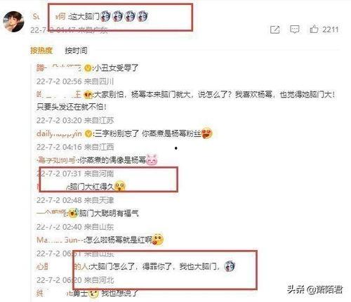 明星网红回消息的软件,热门软件大揭秘