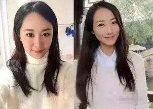 明星网红回顾经历视频大全,明星网红回首辉煌历程视频集锦