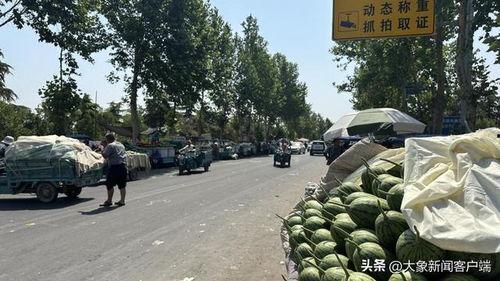 郑州小吊瓜今日价格行情,涨跌互现，市场动态解析