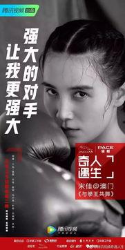 明星网红话题大全文案,揭秘幕后故事与粉丝互动