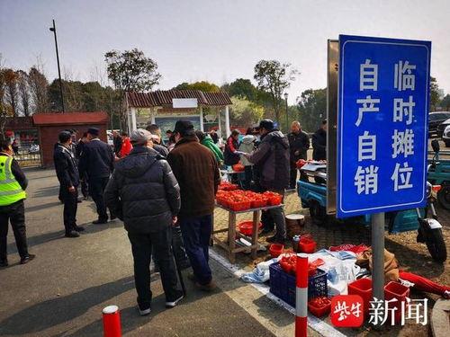 南京瓜娄村今日新闻,探寻古村新颜，见证乡村振兴之路