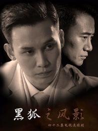 黑狐电视剧全集,谍影重重，暗战风云