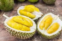 今日徐闻瓜菜行情如何了,今日市场动态一览