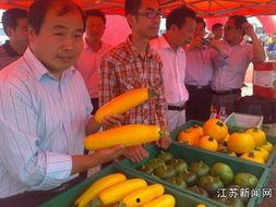 襄阳今日播报姥姥卖瓜,传承民间智慧，演绎生活百态