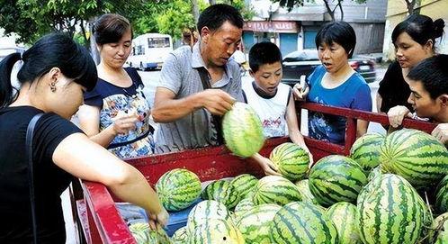 襄阳今日播报姥姥卖瓜,传承民间智慧，演绎生活百态