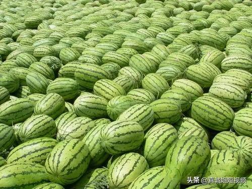 吃瓜今日必吃大瓜,吃瓜群众今日必看焦点事件