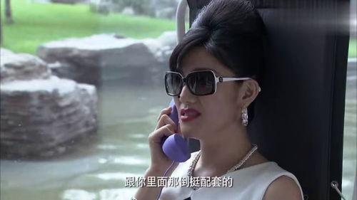 助理和明星网红哪个好,职业选择之优劣对比