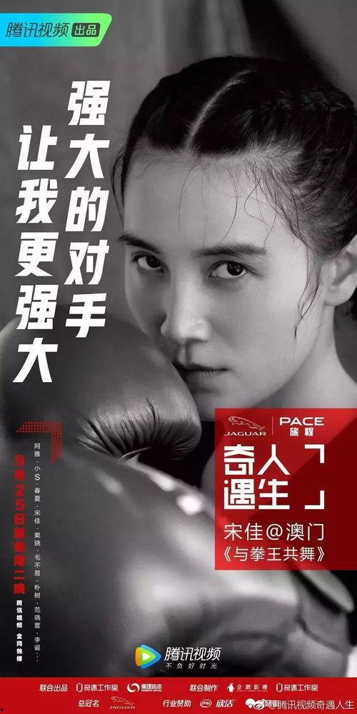 明星网红墙文案怎么写,揭秘网红墙文案背后的魅力