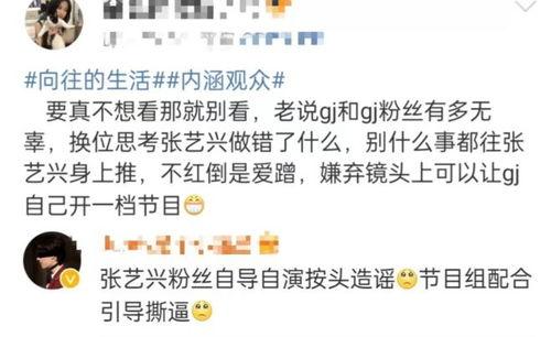 今日份大瓜是什么意思,大瓜背后的真相与热议