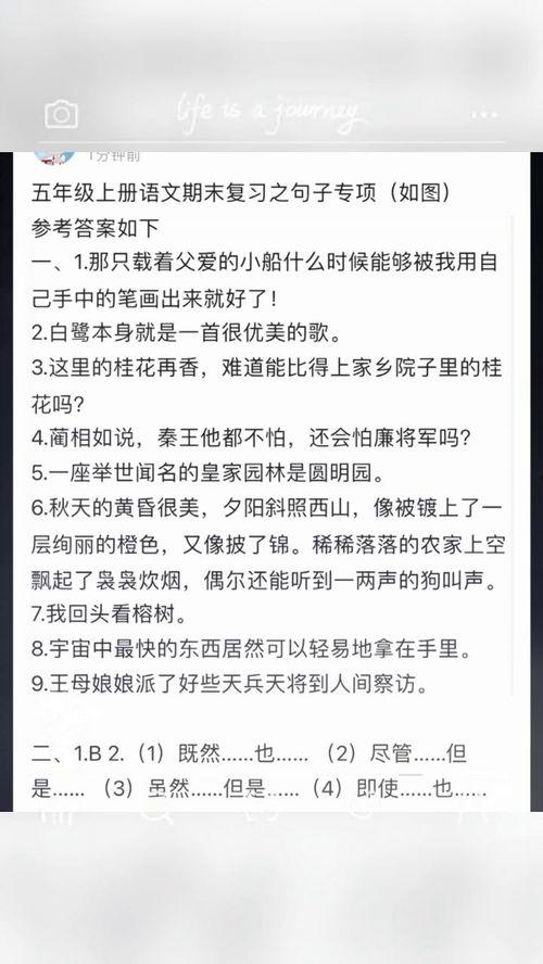 今日吃瓜句子怎么写的,揭秘娱乐圈幕后故事