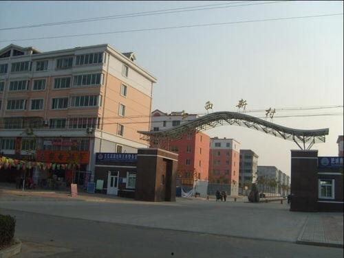 肥城王瓜店今日价格,新鲜瓜果，实惠之选