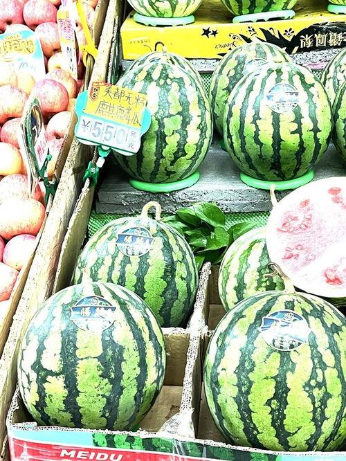 保定麒麟瓜今日价格,价格行情一览”