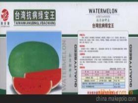 西胡芦瓜今日价格行情,涨跌波动解析
