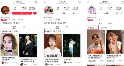 小红书明星网红是谁,她是谁？