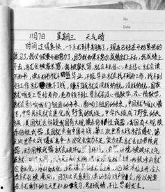 对明星网红的看法作文,明星网红现象的多元视角解读