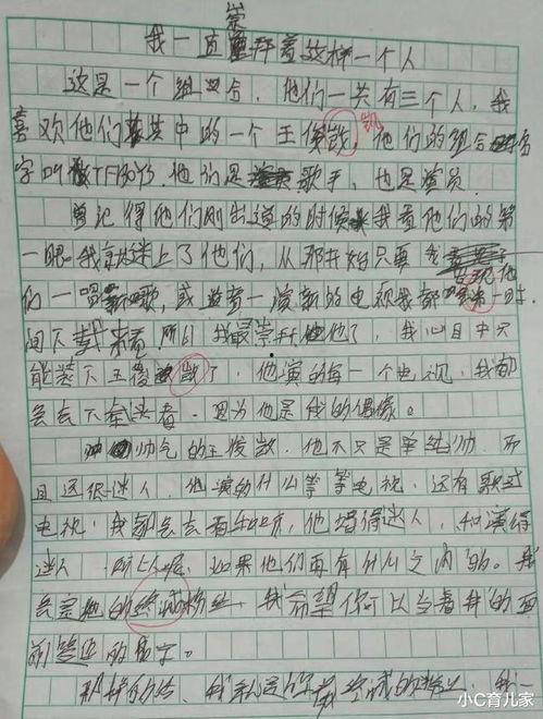 对明星网红的看法作文,明星网红现象的多元视角解读