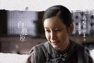 白鹿原电视剧全集,历史变迁下的家族传奇