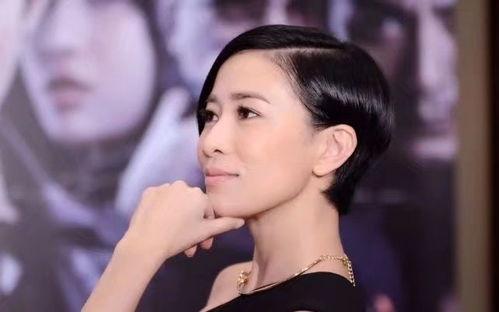 明星网红同框变脸佘诗曼,明星网红界新潮流