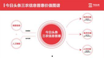 河北铺瓜最新消息今日头条,今日头条揭秘瓜农丰收背后的故事”