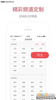 河北铺瓜最新消息今日头条,今日头条揭秘瓜农丰收背后的故事”