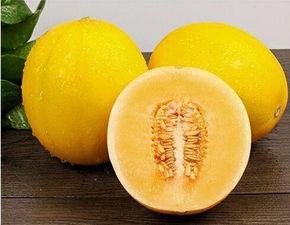 黄蜜瓜今日行情走势,今日走势解析