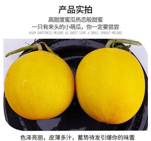 黄蜜瓜今日行情走势,今日走势解析