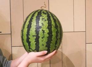 广州今日的瓜,揭秘城市热点事件背后的故事
