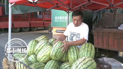 黑瓜多少天成熟的季节吃,把握最佳食用时机，尽享美味与营养”