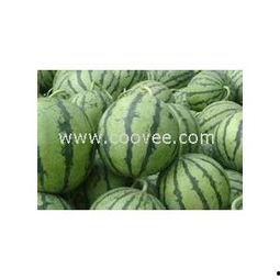 山东小白瓜今日行情,价格波动，市场需求旺盛