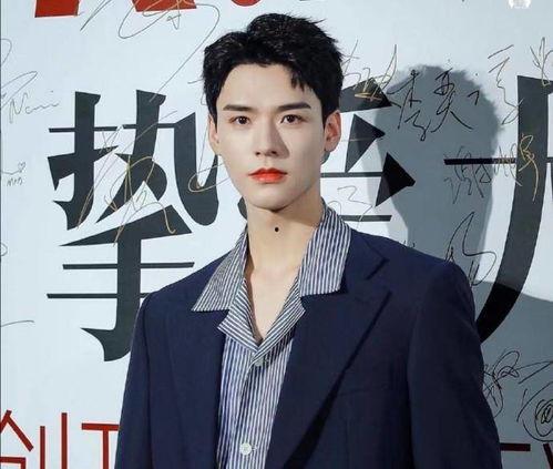 娱乐推荐明星网红有哪些,热门娱乐推荐明星网红大盘点