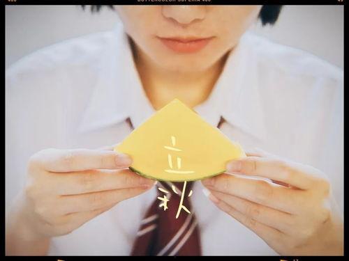 今日头条立秋吃瓜,瓜果飘香，一起品味夏日余韵